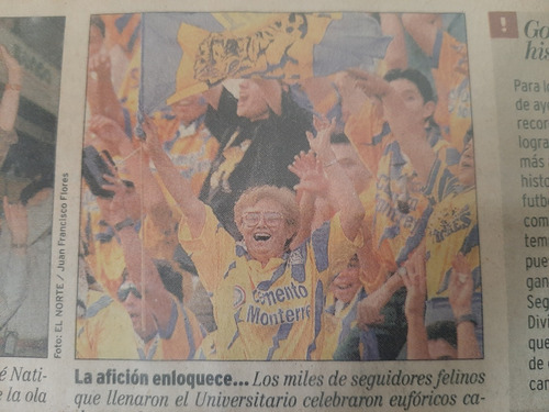 Cuadro Con Recorte De Tigres (Usado)