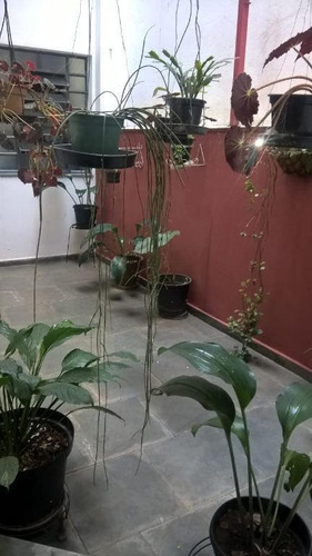 Imagem 17 de 19 de Prédio À Venda, 420 M² - Jardim Do Mar - São Bernardo Do Campo/sp - Pr0704