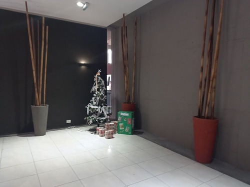 Imagen 3 de 14 de Departamento En Venta En Punto Urbano