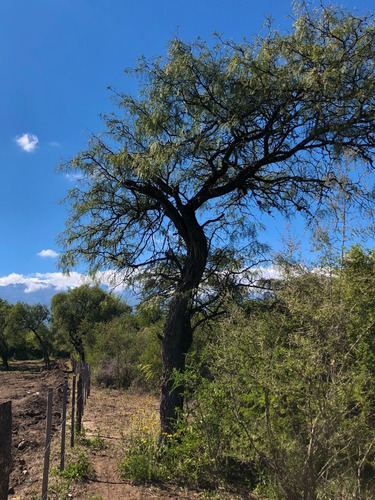 Imagen 9 de 24 de Lotes Con Escritura Desde 1556 M2 A 2365 M2 / Villa De Las Rosas - Traslasierra