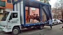 Imagen 1 de 5 de Camion Mudanza Fletes Reparto Economico Capital , Zona Sur