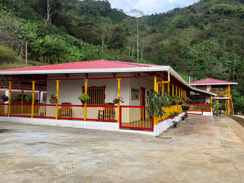 Se Vende Finca Hotel En Buenavista