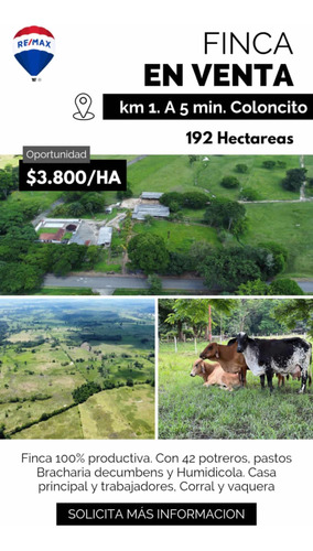 Imagen 15 de 16 de Finca Ganadera En Coloncito Excelente Tierras