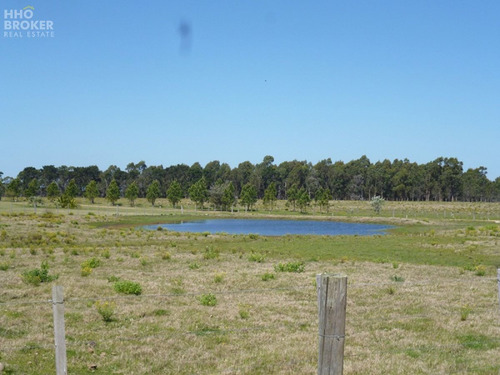 Imagen 25 de 28 de Espectacular Chacra En Venta Y Alquiler A Minutos De José Ignacio - Entorno Increíble!! - Jose Ignacio José Ignacio