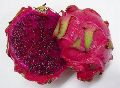 Pitaya Gigante Polpa Vermelha Fruta Dragão 20 Sementes