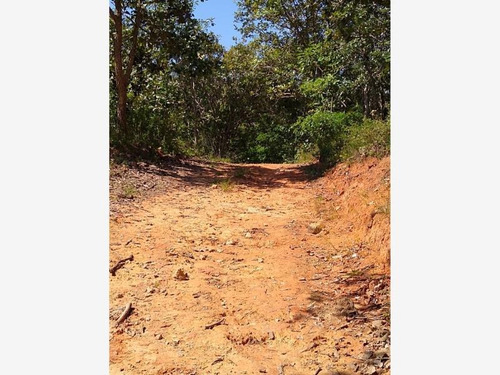 Imagen 5 de 6 de Terreno En Venta Yelapa