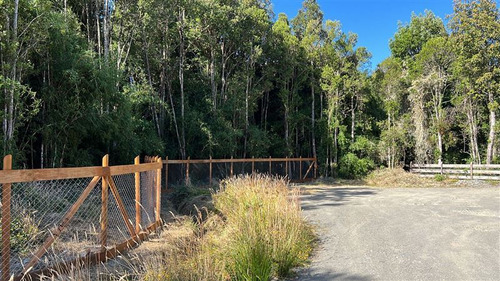 Sitio Con Bosque Y Arroyo En Condominio A Min De Frutillar