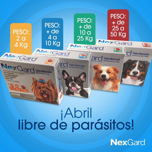 Nexgard Tu Mejor Protección Contra Pulgas Y Garrapatas .