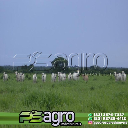 Imagem 1 de 10 de Fazenda À Venda, 83.848 Hectares Por R$ 280.000.000 - Zona Rural - São Felix Do Araguaia/mt - Fa0181