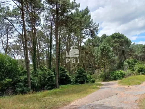 Terreno, Venta, Club Del Lago - Ref : Pbi14201
