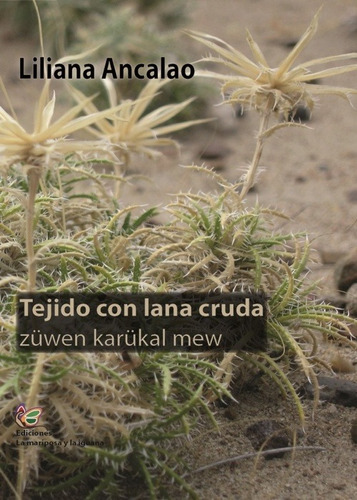 Liliana Ancalao Tejido Con Lana Cruda La Mariposa La Iguana