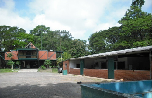 Imagen 4 de 15 de Se Vende Extraordinaria Finca De 1.237 Has. Silvopastoril Y Manufacturera Con Mucho Potencial Representada Por Persona Juridica