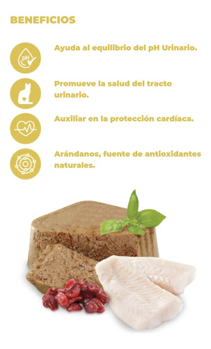 32 Latas Nupec Felino Urinary 100g | Prevención Cristales