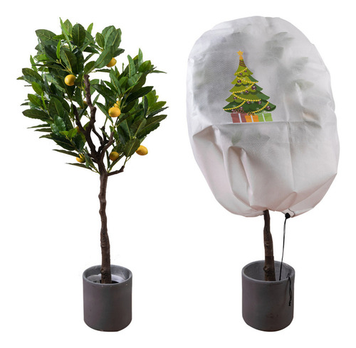 Fweaad Planta De Árbol De Navidad De Alta Calidad Con