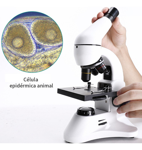 Microscopio Monocular2000x Profesional Óptico Con Accesorios