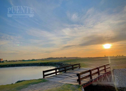 Imagen 4 de 17 de Terreno - La Providencia - Lote - Sector Golf - Canning - Ezeiza
