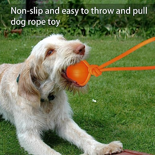 Dlder Pelota Para Perro Con Cuerda, Juguete Para Perro, Pelo