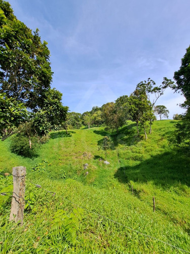 Finca La Azulita