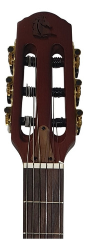 Violão Vazado Nylon Castanho Vn18ctseq Fishman - Marquês Cor Chocolate