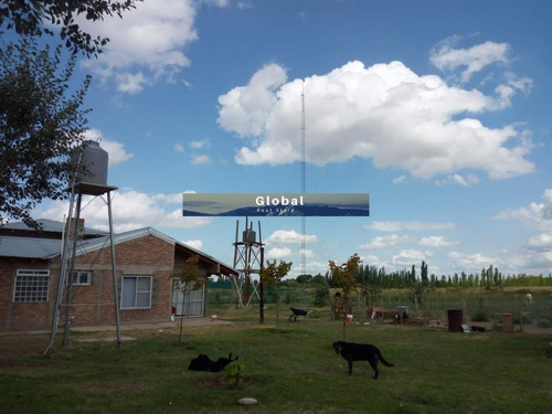 Imagen 16 de 26 de Excelente Finca De 31 Has En San Rafael , Mendoza Zona Vitivinícola Argentina