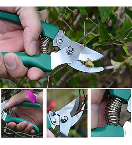 Conjunto De Ferramentas De Jardinagem Weeded Succulent 10 Pe