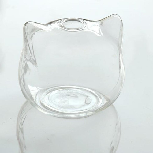 Cabeça De Gato Planta Hidropônica Vaso De Flores