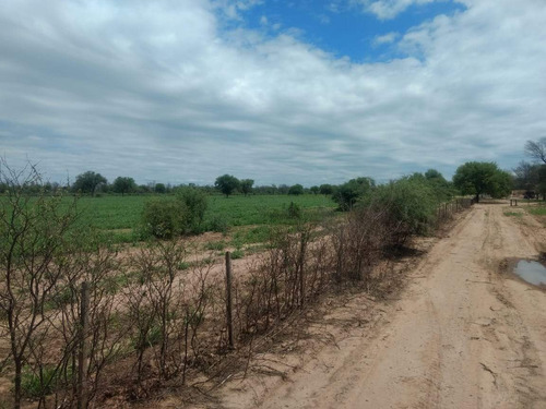 Imagen 3 de 18 de Venta Campo En Santiago Del Estero, Norte De Monte Quemado
