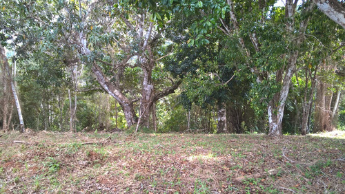 Fazenda 34 Hec. À Venda Em Taperoá-bahia