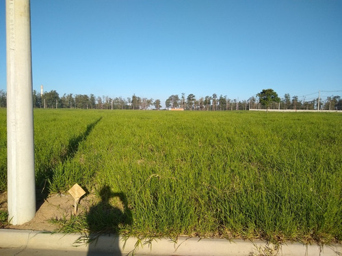 Imagem 7 de 10 de Jd Pacaembu Americana 300m Quitado.pronto P/ Construir