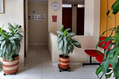 Imagen 11 de 17 de Oficina En Venta En Bogota Palermo - Teusaquillo