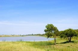 Imagen 8 de 10 de Terreno Con Vista Al Río - Colonia Mascías San Javier