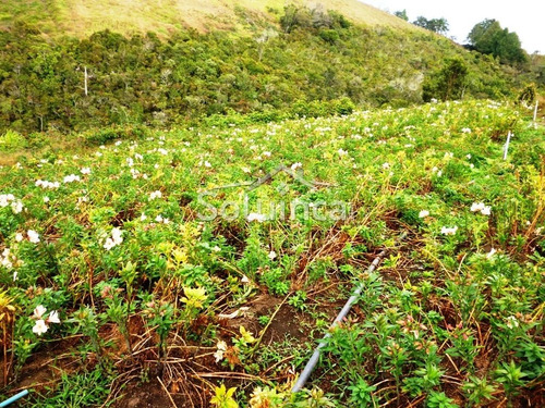 Imagen 16 de 18 de Haciendas - Finca En Venta, Mérida