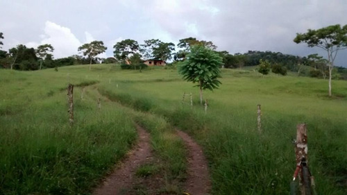 Finca En Buga Valle Del Cauca.