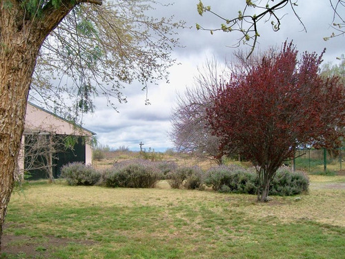 Imagen 4 de 30 de Venta - Finca - Cañada Seca Retasada