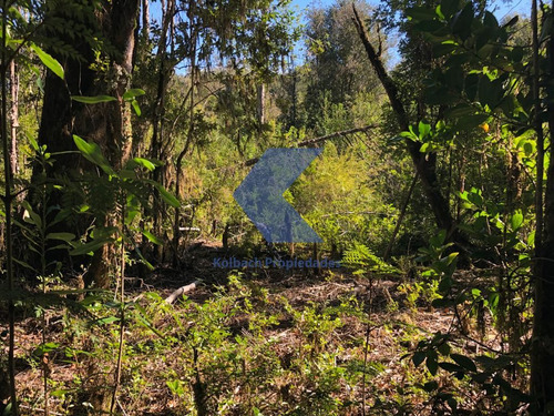 Terreno En Venta En Cisnes