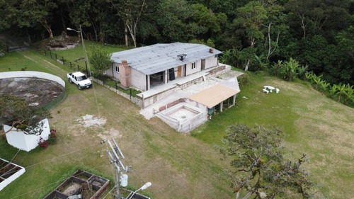 Imagen 6 de 7 de Lv Se Vende Finca En Neblina