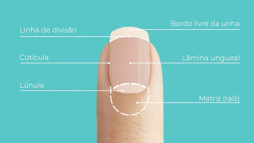 Imagem 5 de 6 de Blant Base Fortalecedora Com Óleo De Cravo 8,5ml