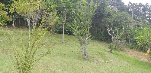 Chácara Com 3 Dormitórios À Venda, 4000 M² Por R$ 650.000,00 - Joaquim Egídio - Campinas/sp - Ch0479