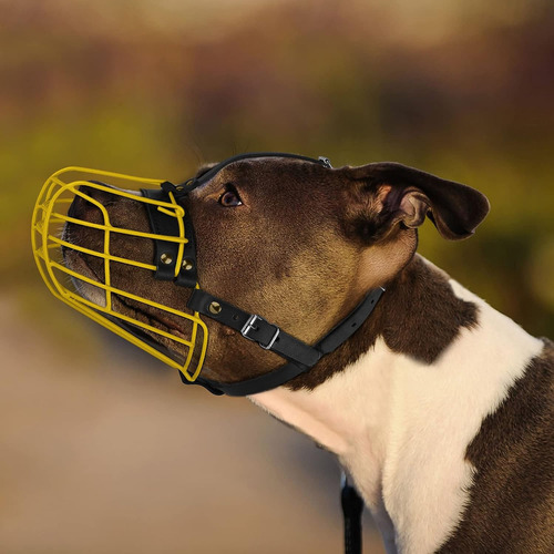 Máscara De Metal Pitbull Dog Bozal Amstaff Secure Wire Ba