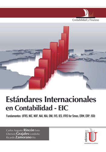 Estándares Internacionales En Contabilidad-eic - Rincon Soto