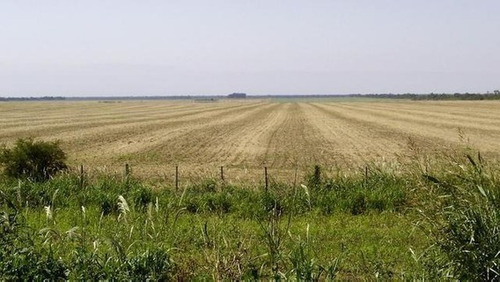 Imagen 2 de 2 de Sc812 Campo Mixto En Singuil. Catamarca