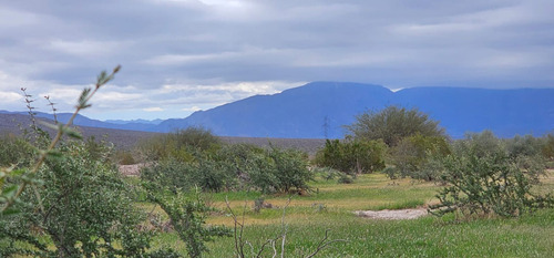 Venta Campo De 7.100 Has En Talacasto, Ullum