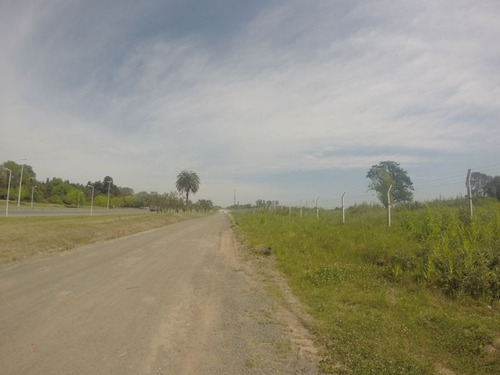 Imagen 3 de 8 de Terreno En Alquiler En Luján