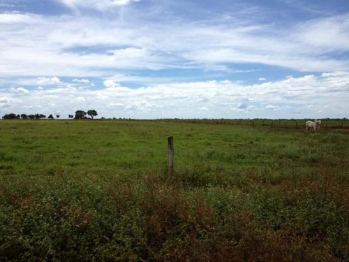 Imagem 20 de 30 de Fazenda À Venda, 430000 M² Por R$ 313.900.000,00 - Centro - Pium/to - Fa0047