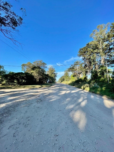 Imagen 2 de 30 de Casa Quinta Sobre Lote De 5.000 M2 La Gloria De La Peregrina