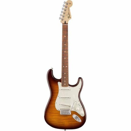 Fender Standard Stratocaster Plus Top Tobacco Sunburst