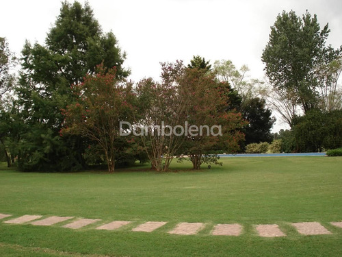 Terreno Lote En Venta, La Cesarina, General Rodríguez