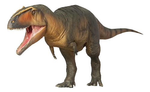 Pnso Dinosaur Museums Series:17lucas The Giganotosaurus 1:35