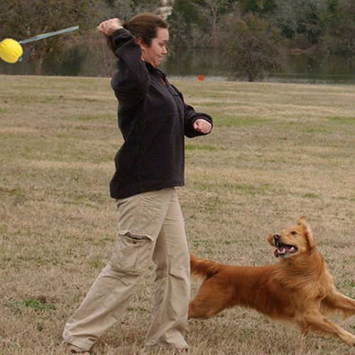 K * Pelota De Espuma For Entrenamiento De Perros Y Mascotas