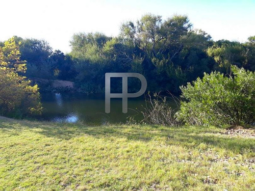 Imagen 9 de 18 de Chacra En Venta San Carlos 3 Dormitorios, 5 Hectáreas